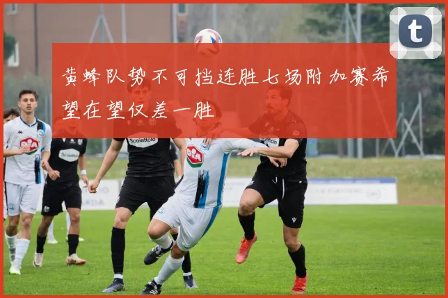 黄蜂队势不可挡连胜七场附加赛希望在望仅差一胜