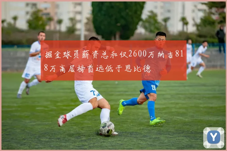 掘金球员薪资总和仅2600万纳吉818万高居榜首远低于恩比德
