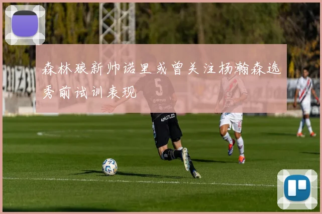 森林狼新帅诺里或曾关注杨瀚森选秀前试训表现